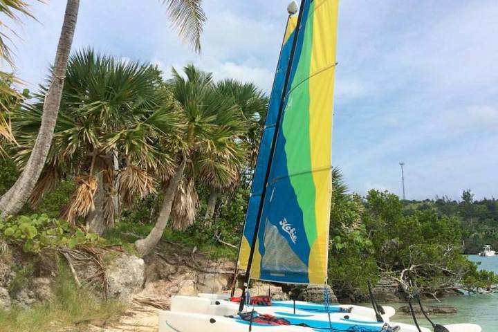 hobie cat