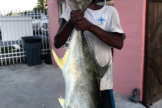 a statue of a man holding a fish