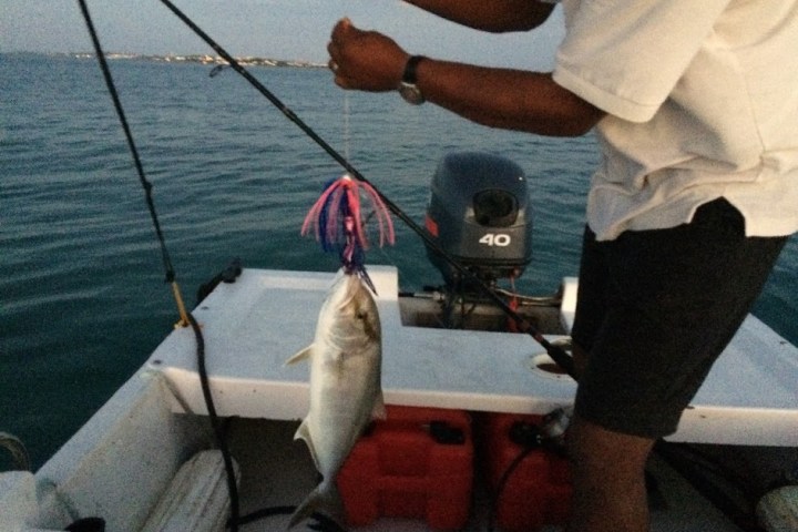 a person holding a fish on a boat in the water