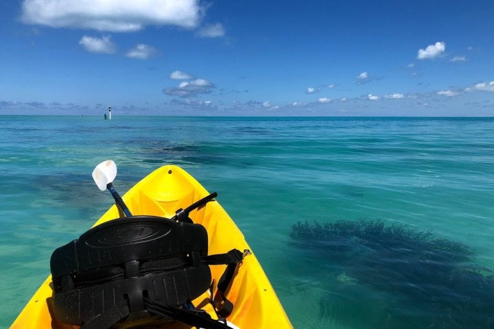 a black and yellow record next to a body of water
