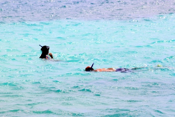 a person swimming in the water