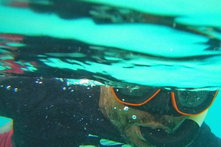 a person swimming in water