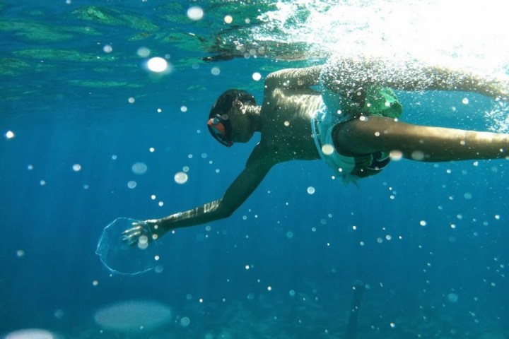 a person swimming in the water
