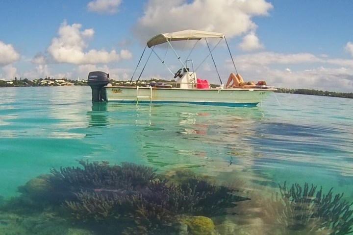 a close up of a boat next to a body of water