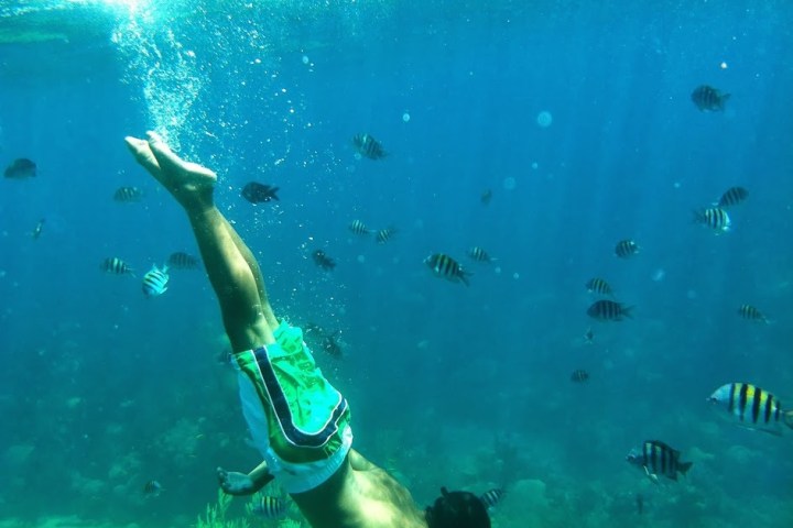 a person swimming in the water