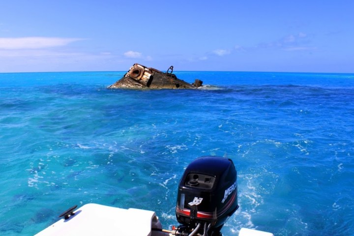 a person swimming in a body of water