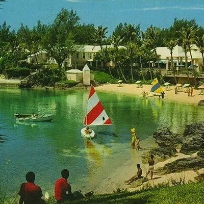 a group of palm trees next to a body of water