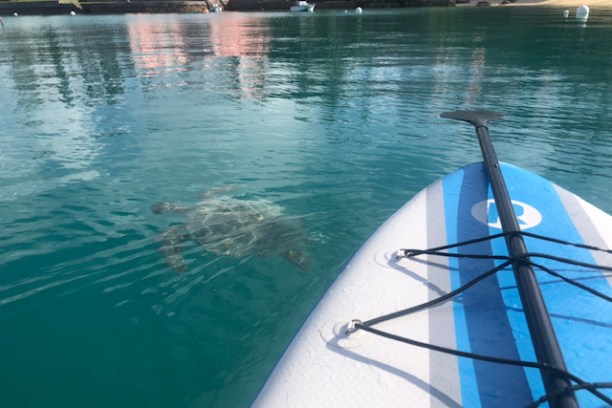 a boat sitting on top of a body of water